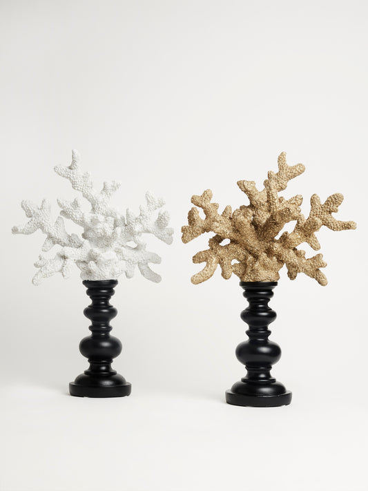 Pair of Coral on Black Stand